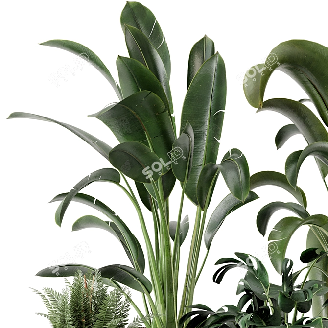 Ferm Living Bau Pot Large Set - Indoor Plants 3D model image 4