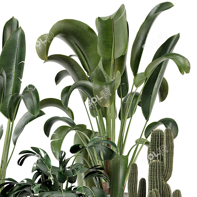 Ferm Living Bau Pot Large Set - Indoor Plants 3D model image 5