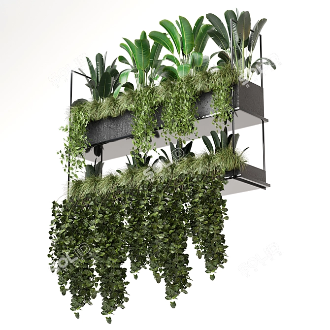 Metal Box Hanging Plants 3D model image 5