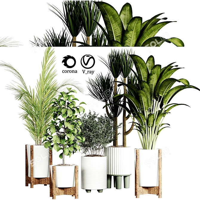 Indoor Plant Collection 3D model image 1