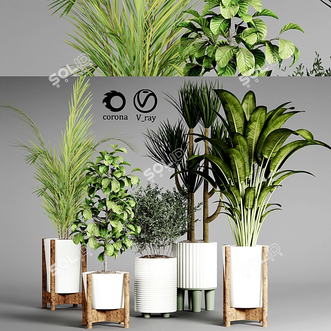 Indoor Plant Collection 3D model image 2