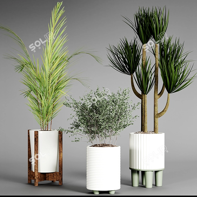 Indoor Plant Collection 3D model image 3
