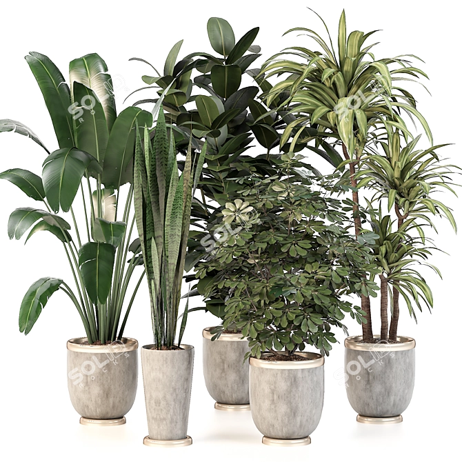 Green Oasis: 5 Indoor Plant Set 3D model image 1