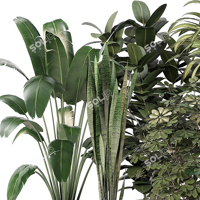 Green Oasis: 5 Indoor Plant Set 3D model image 2