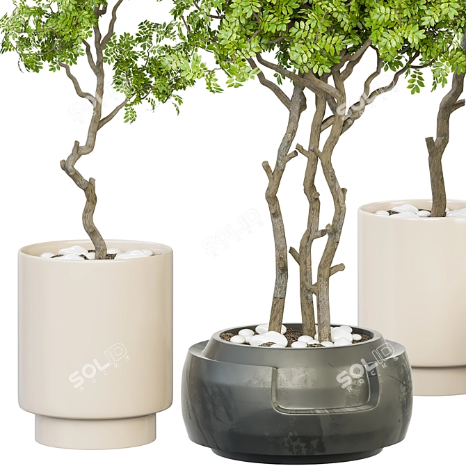 Versatile Indoor Plant Vol. 32 3D model image 2