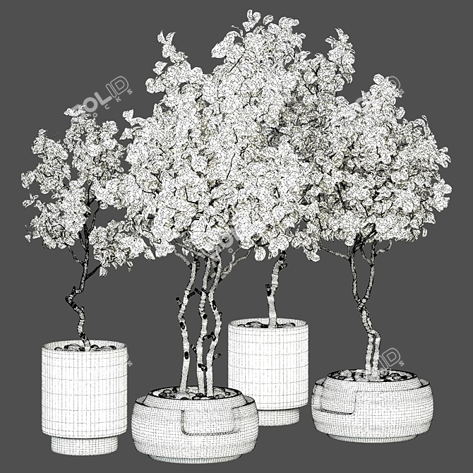 Versatile Indoor Plant Vol. 32 3D model image 4