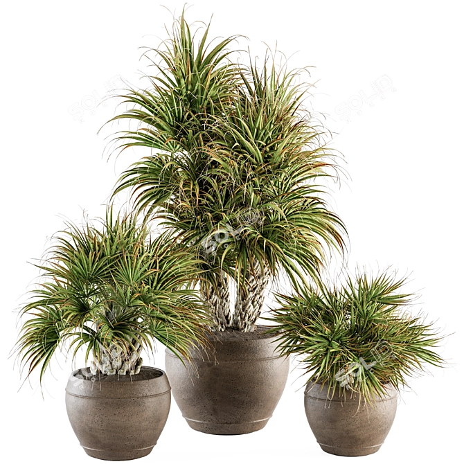 Tropical Bush in Vintage Pot - Indoor Plant Set 3D model image 1