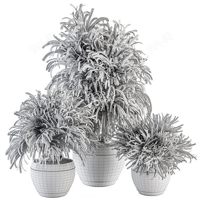 Tropical Bush in Vintage Pot - Indoor Plant Set 3D model image 5