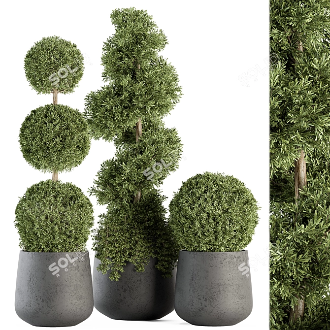 Outdoor Greenery Set: Topiary Plant & Bush 3D model image 1