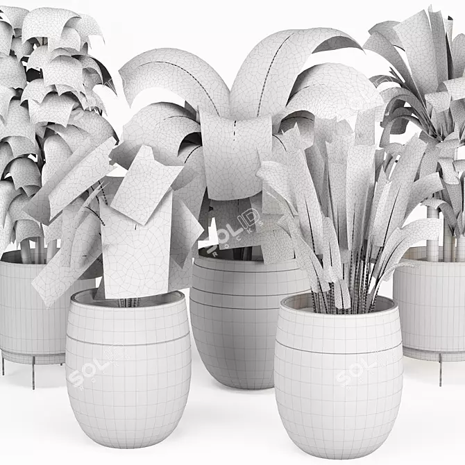 Indoor Plant Collection: Syngonium, Rubber Fig, Dieffenbachia, Dracaena, Aspidistra 3D model image 3