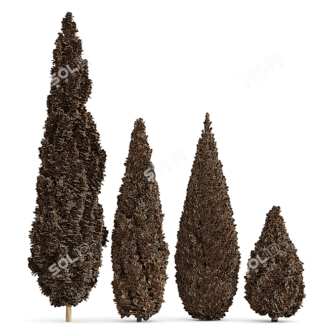 Real Trees Pack: Rocky Mountain, Chinensis Spartan, Taylor, Mediterranean Cypress 3D model image 5