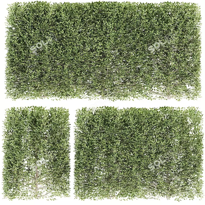 Flora Fence: Bushes, Hedges & Flowers 3D model image 1