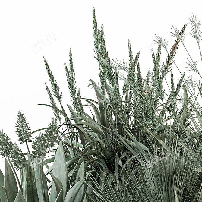 Aloevera Mixed Plant Set 3D model image 2