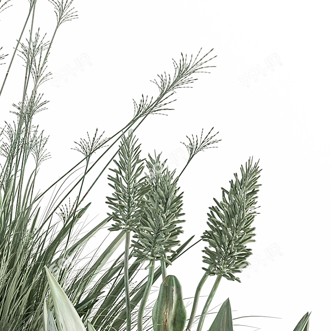 Aloevera Mixed Plant Set 3D model image 3