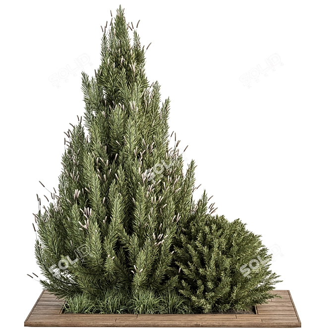 Pine Bush & Tree Set: Outdoor Greenery 3D model image 1