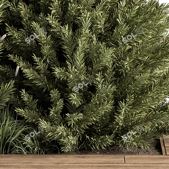 Pine Bush & Tree Set: Outdoor Greenery 3D model image 3