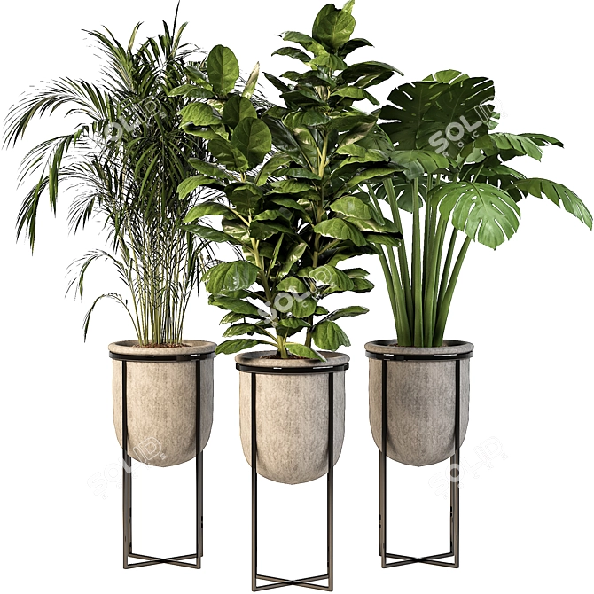 Lush Indoor Plant Trio 3D model image 1