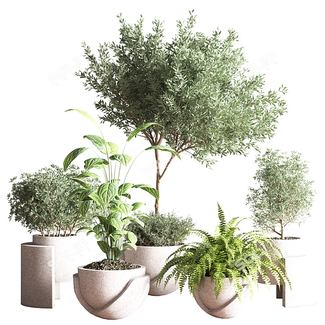 Indoor Oasis Plant Set 3D model image 1