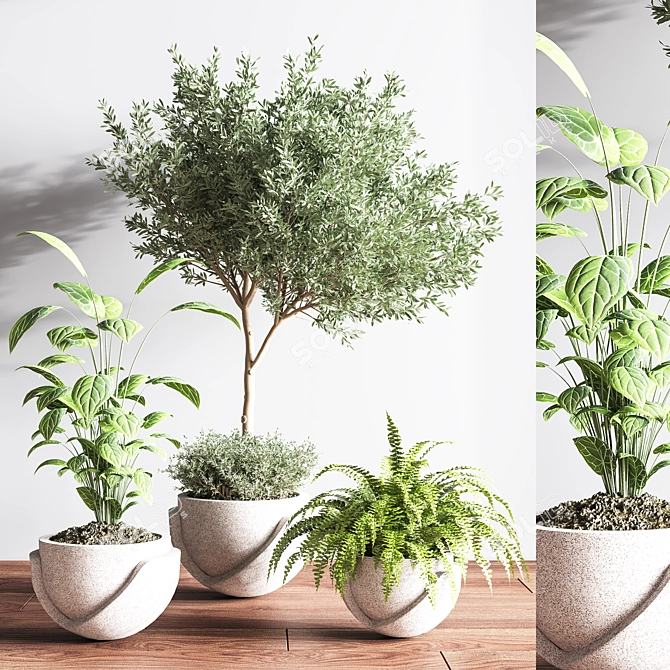 Indoor Oasis Plant Set 3D model image 5