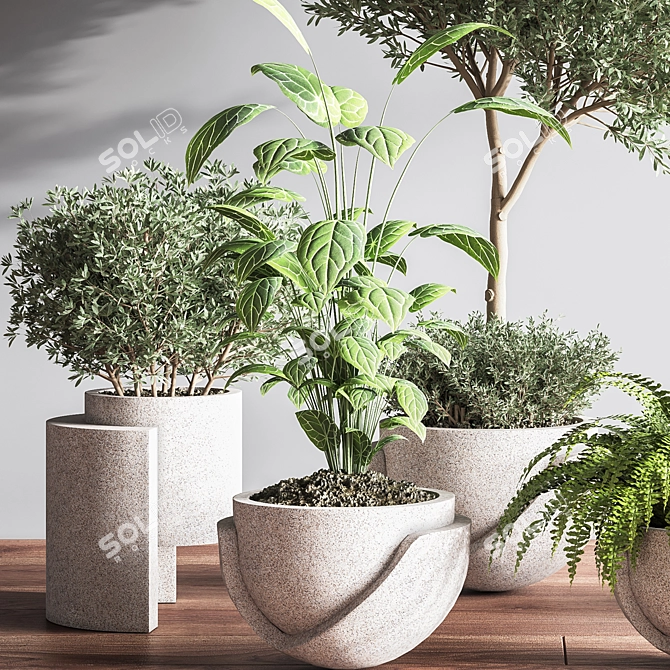 Indoor Oasis Plant Set 3D model image 7