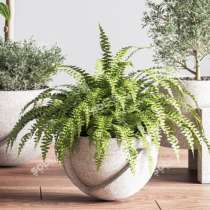 Indoor Oasis Plant Set 3D model image 9