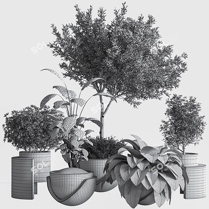Indoor Oasis Plant Set 3D model image 10
