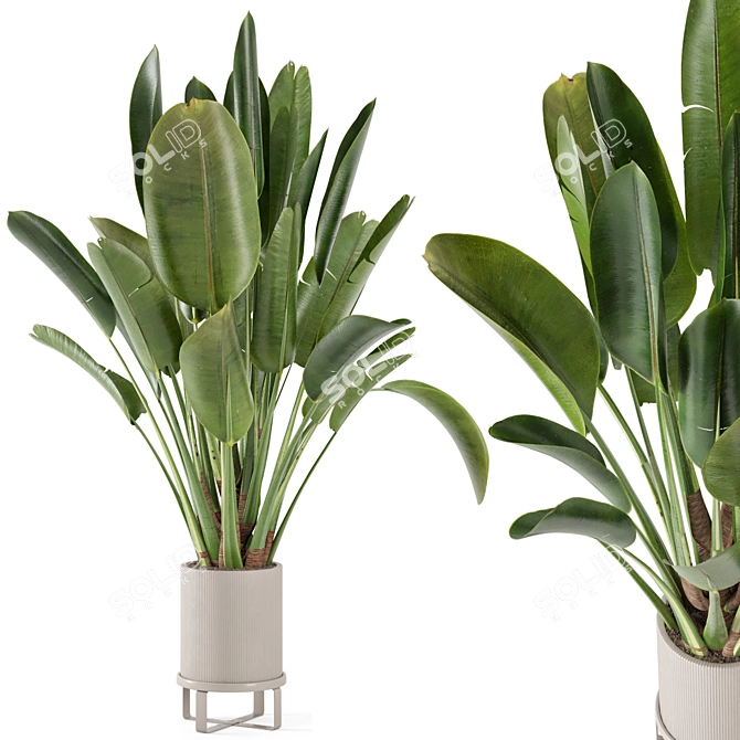 Ferm Living Bau Pot Large Set - Modern Indoor Plants 3D model image 1