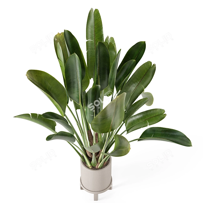 Ferm Living Bau Pot Large Set - Modern Indoor Plants 3D model image 2