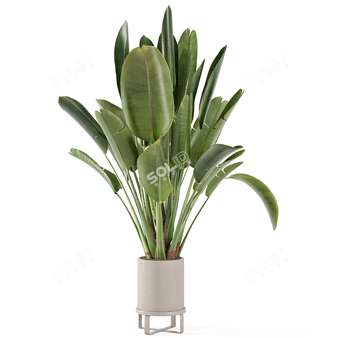 Ferm Living Bau Pot Large Set - Modern Indoor Plants 3D model image 3