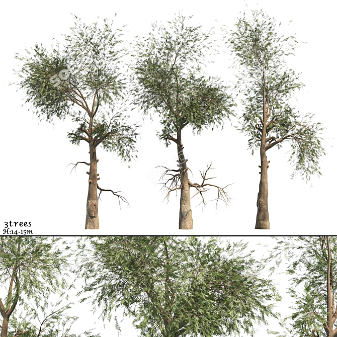 Variety Vol. 3: Three Unique Trees 3D model image 1