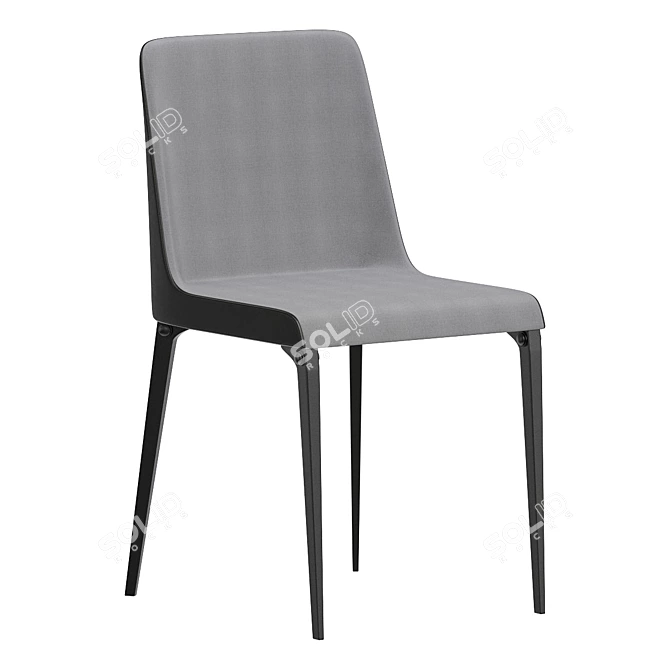 Sleek and Stylish Pedrali Laja Chairs 3D model image 3