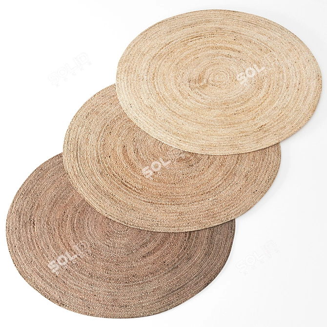 Jute Carpet Set: 3 Types, Different Colors 3D model image 4