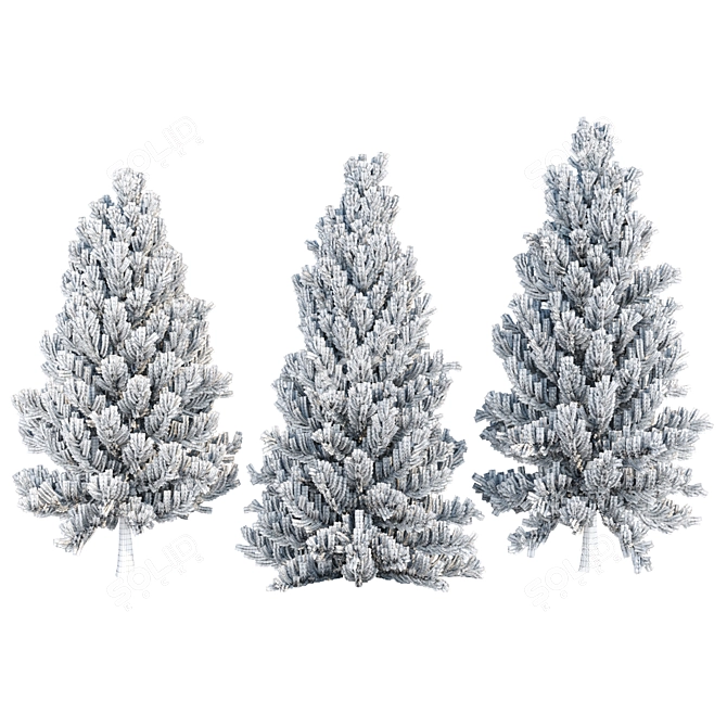 Evergreen Pine Tree Collection 3D model image 6