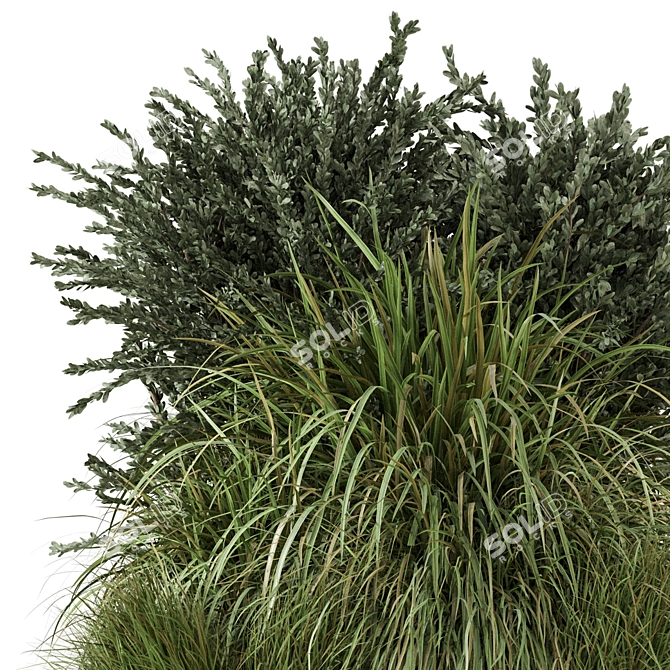 Outdoor Bush Plants Set 213 3D model image 2