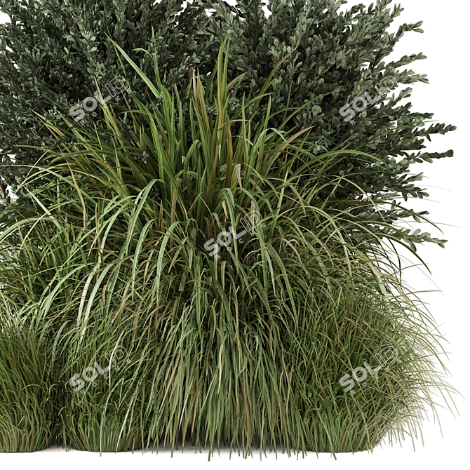 Outdoor Bush Plants Set 213 3D model image 3