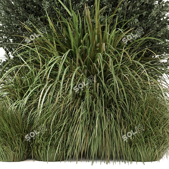 Outdoor Bush Plants Set 213 3D model image 4