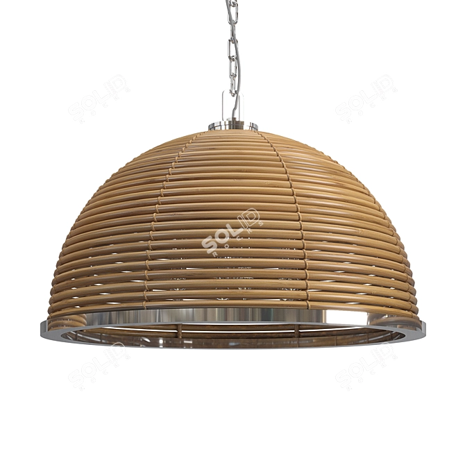 Tropical Steel Carayes Pendant 3D model image 2