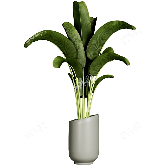 Plant 11: Elegant 2015 Version 3D model image 1