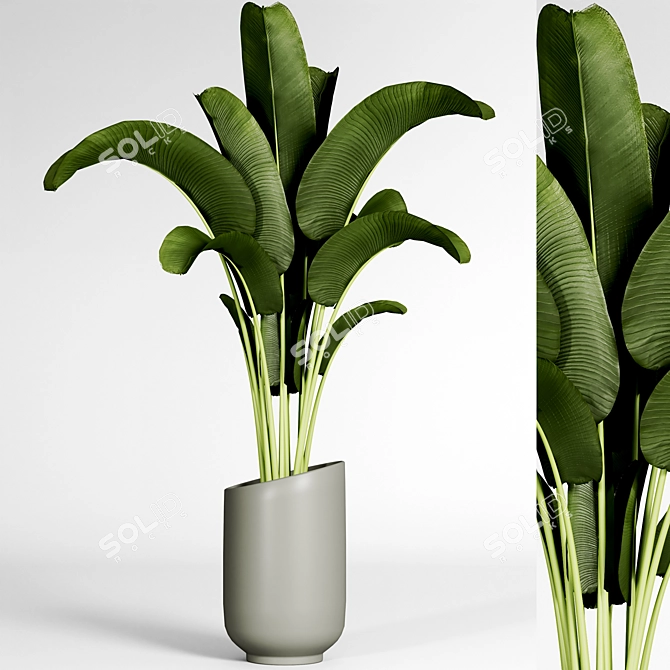 Plant 11: Elegant 2015 Version 3D model image 2