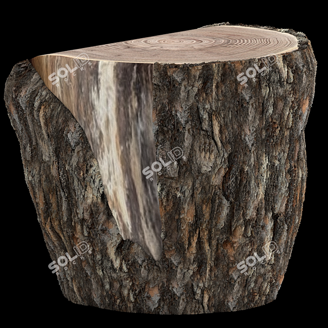 Rustic Pine Stump Cut 3D model image 2