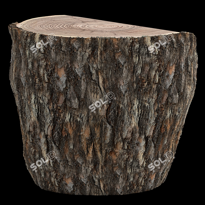 Rustic Pine Stump Cut 3D model image 3