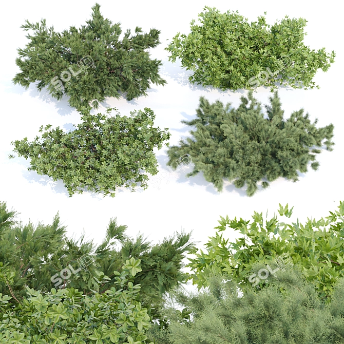 Nature's Oasis: Outdoor Bush Collection 3D model image 1