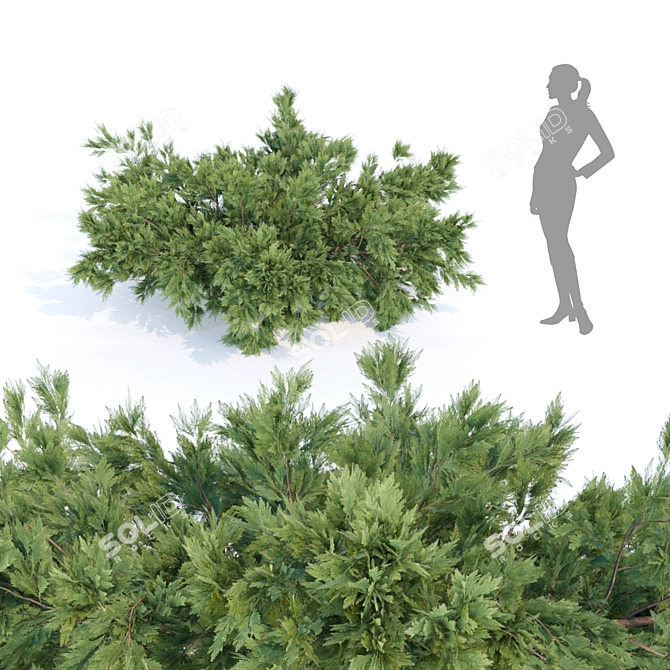 Nature's Oasis: Outdoor Bush Collection 3D model image 2