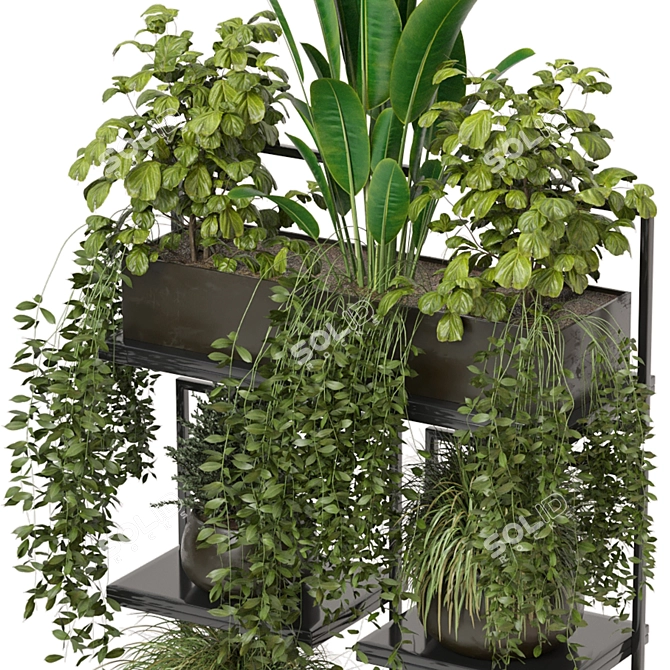 Rustic Indoor Plants | Set 207 3D model image 3