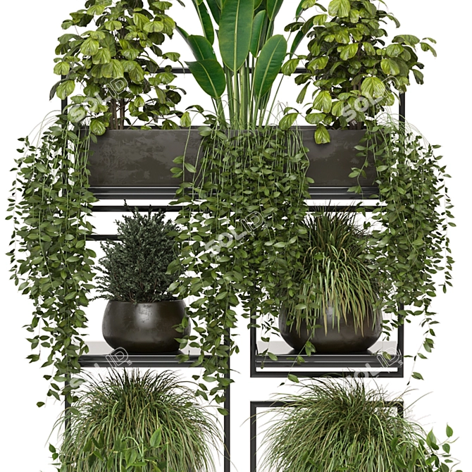 Rustic Indoor Plants | Set 207 3D model image 4