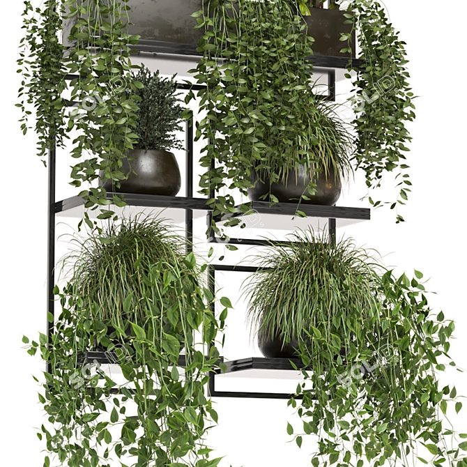 Rustic Indoor Plants | Set 207 3D model image 5