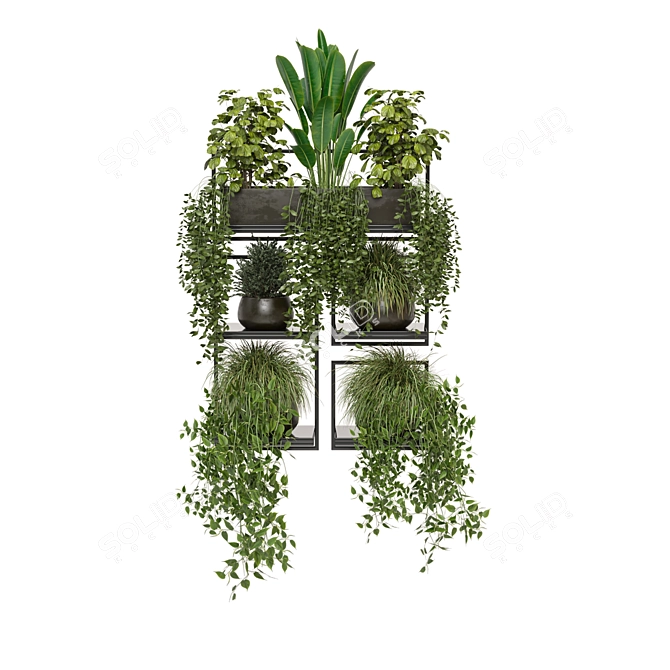 Rustic Indoor Plants | Set 207 3D model image 6