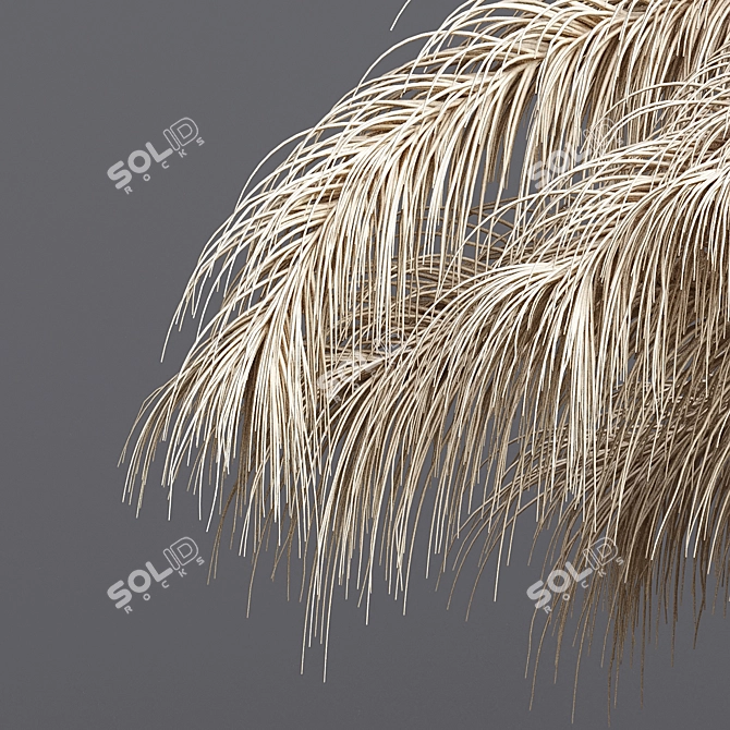 Dried Flower Decor - Fragrant and Delicate 3D model image 2