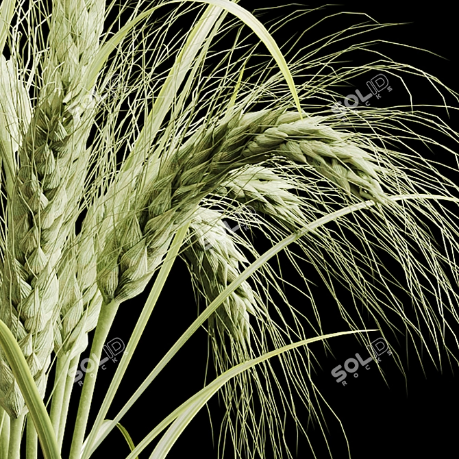 Elegant Dry Plant Set: V-Ray/Corona 3D model image 4