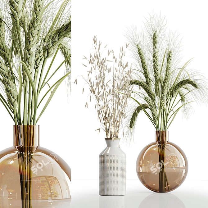 Elegant Dry Plant Set: V-Ray/Corona 3D model image 9